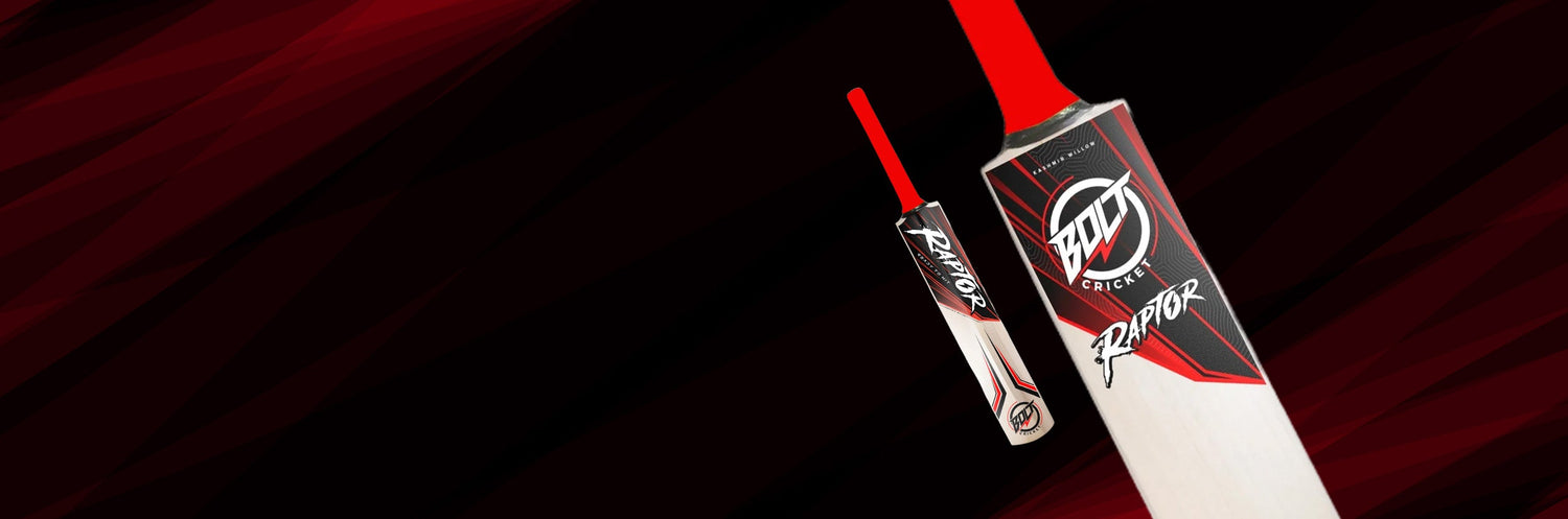 Kashmir Willow Cricket Bats collection banner