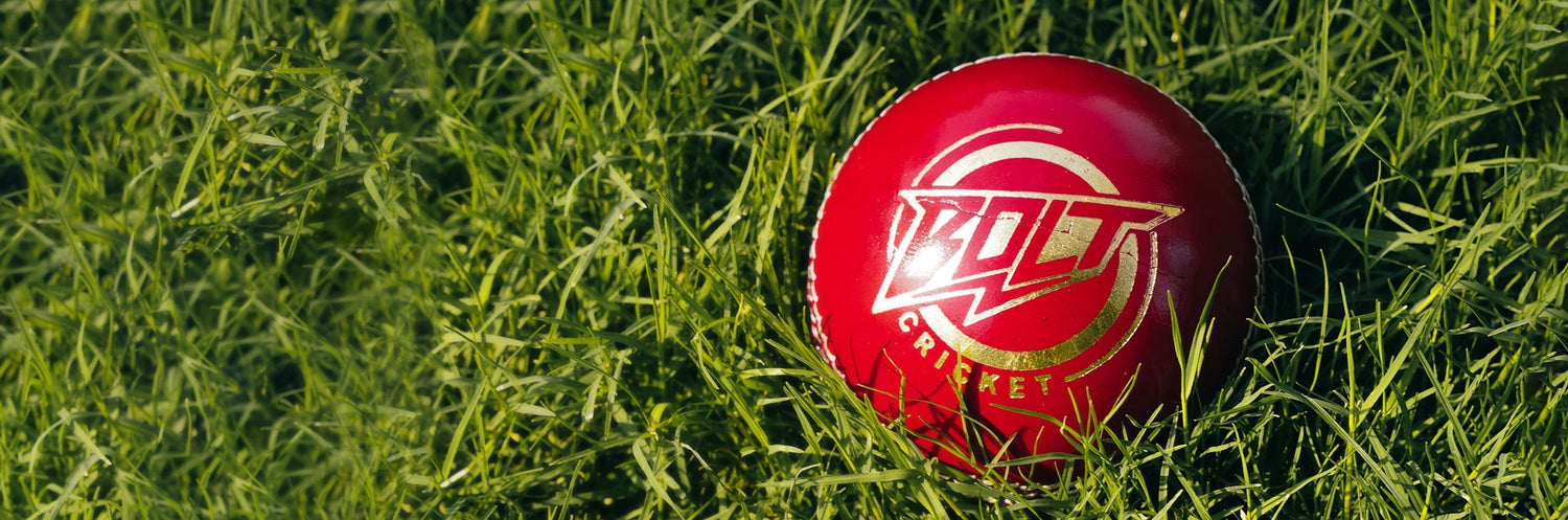 Cricket Balls collection banner