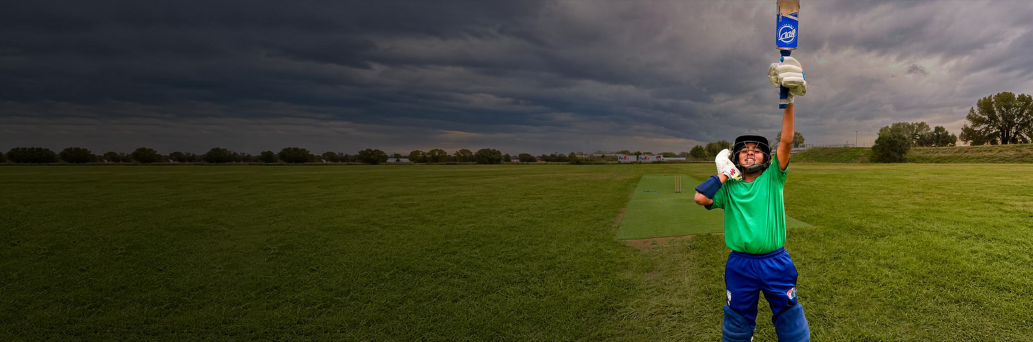 School and College Cricket collection banner