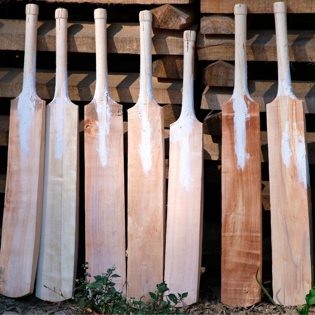 The Evolution of the Cricket Bat: A Journey Through Time - Bolt Cricket