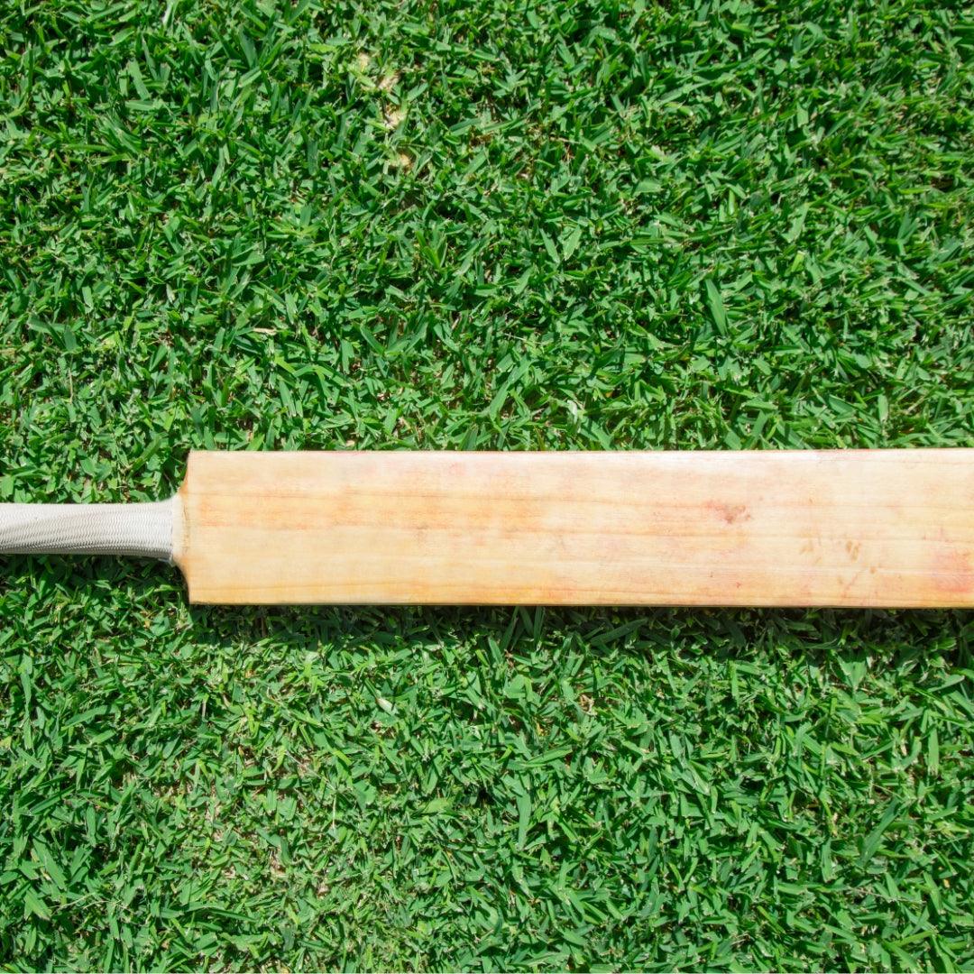 Cricket Bat Care 101: Tips to Maintain Your Bat in Top Condition - Bolt Cricket