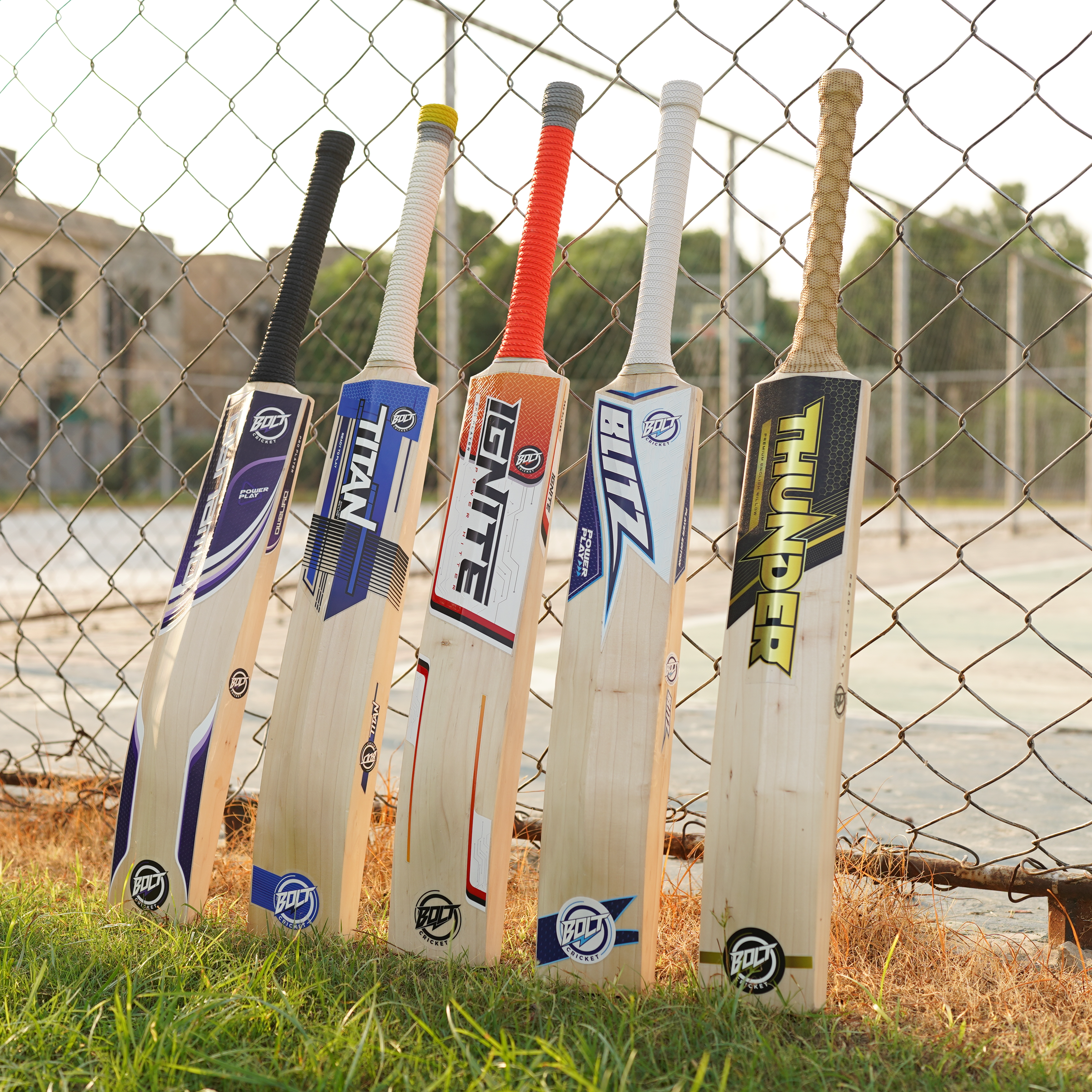 Adult English Willow Bats