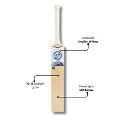 BOLT BLITZ - Bolt Cricket