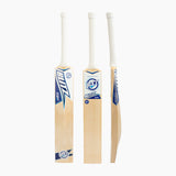 Bolt Cricket Blitz