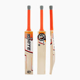 Bolt Cricket Ignite