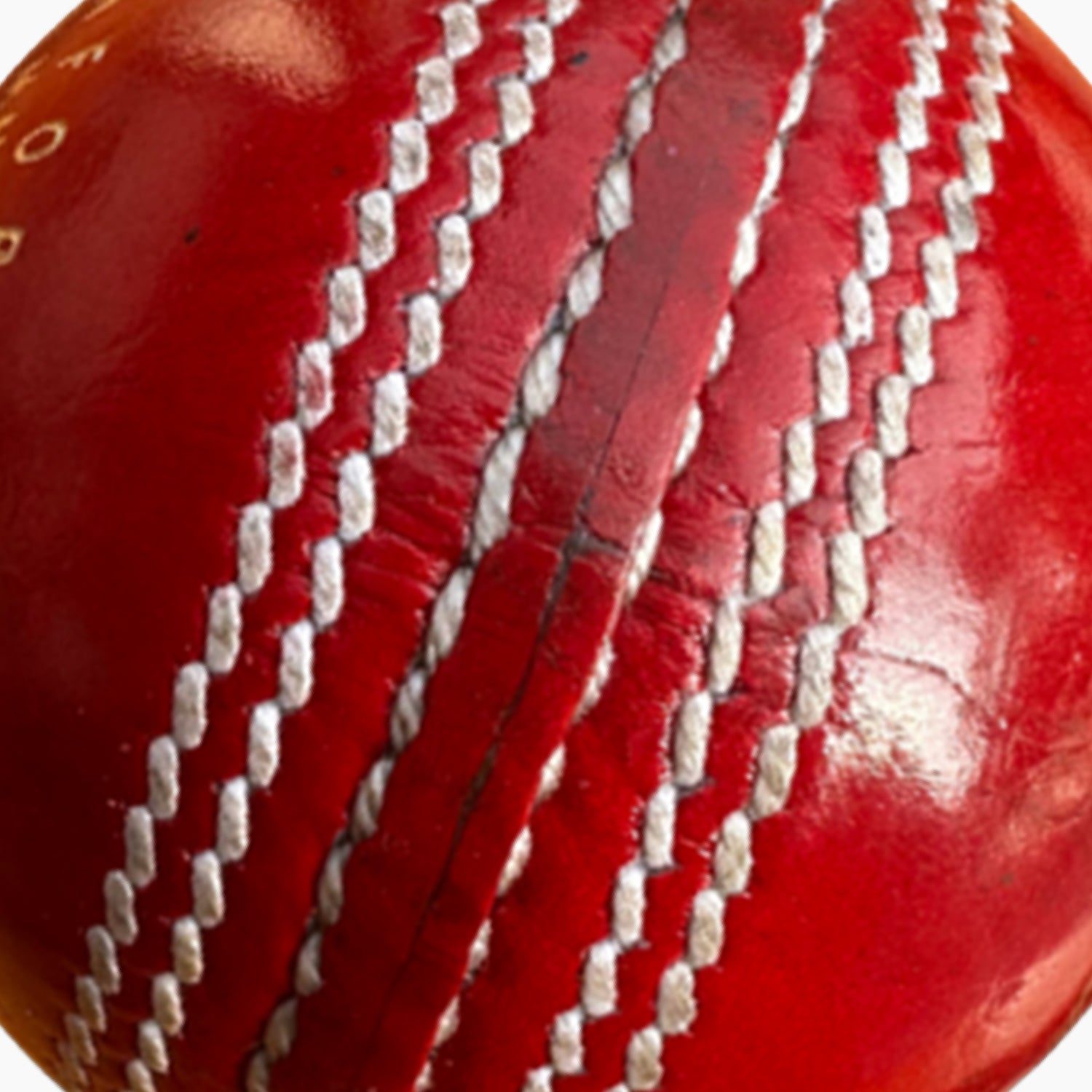 Bolt Elite Ball Match Grade - cricket gear product image